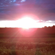Image for article titled Shooting Challenge: Lens Flare Gallery Part One